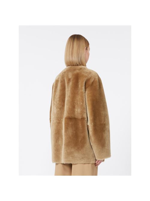MELFI MAXMARA STUDIO | 2526416022600002